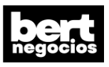 Bert Negocios